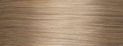LumiShine Warm Series 8NW Color Swatch